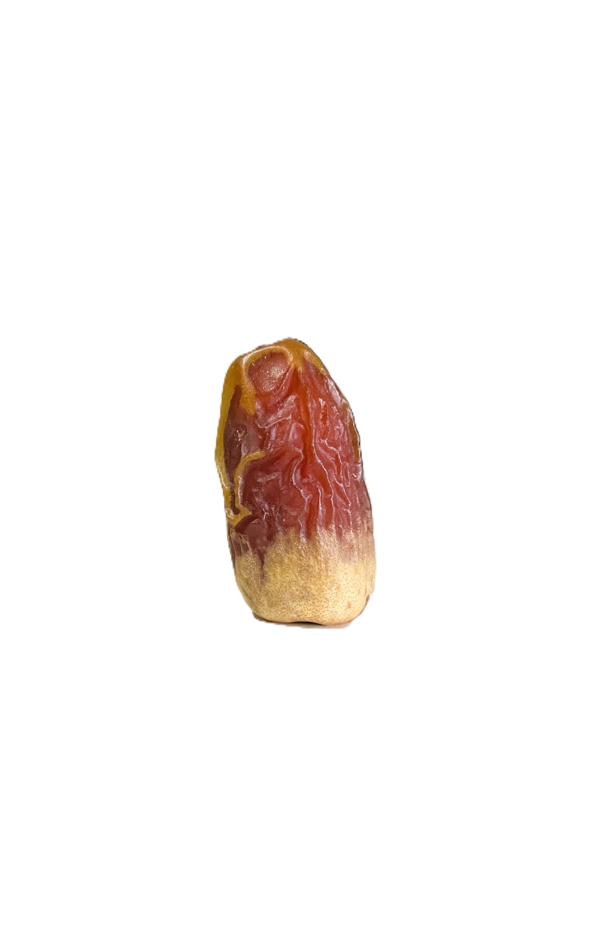 Segai
